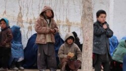 ۲۳ هزار خانواده زیر پوشش کمک‌های وزارت مهاجرین و عودت‌کننده‌گان و برنامه جهانی غذا در کابل قرار گرفته اند