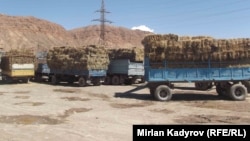 Базардагы чөп. Нарын