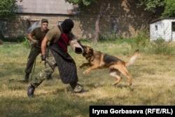 Дрессировка собаки на захват нарушителя