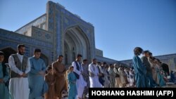 مجیب الرحمن انصاری در هرات نفوذ فراوانی داشت و خطابه های روزهای جمعه وی شنونده های زیادی را جذب می کرد