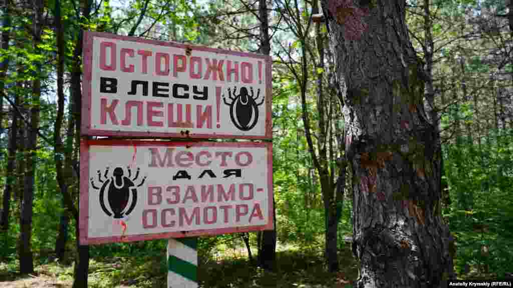 Слева от этой таблички &ndash; место для организованного привала туристов