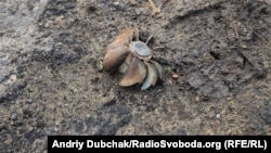 За попередніми даними, втрат немає