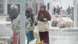 Sowuk howada gök-bakja önümleri doňýar, telekeçiler uly maddy zyýan çekýändiklerini aýdýarlar