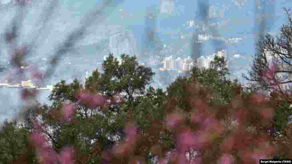 Краєвид на Ялту з Нікітського ботанічного саду