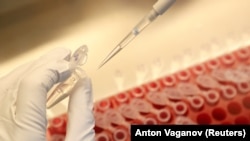 Иллюстрациялык сүрөт. 