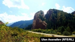 Джеты-Огузский район.