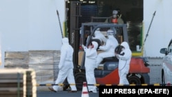 Diamond Princess корабы янында