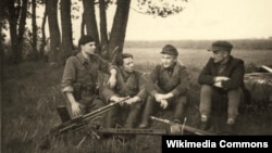 "Лесные братья" округа Витис, 1946 год