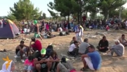 Македония чек арасындагы мигранттар