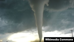 Տորնադո, արխիվ