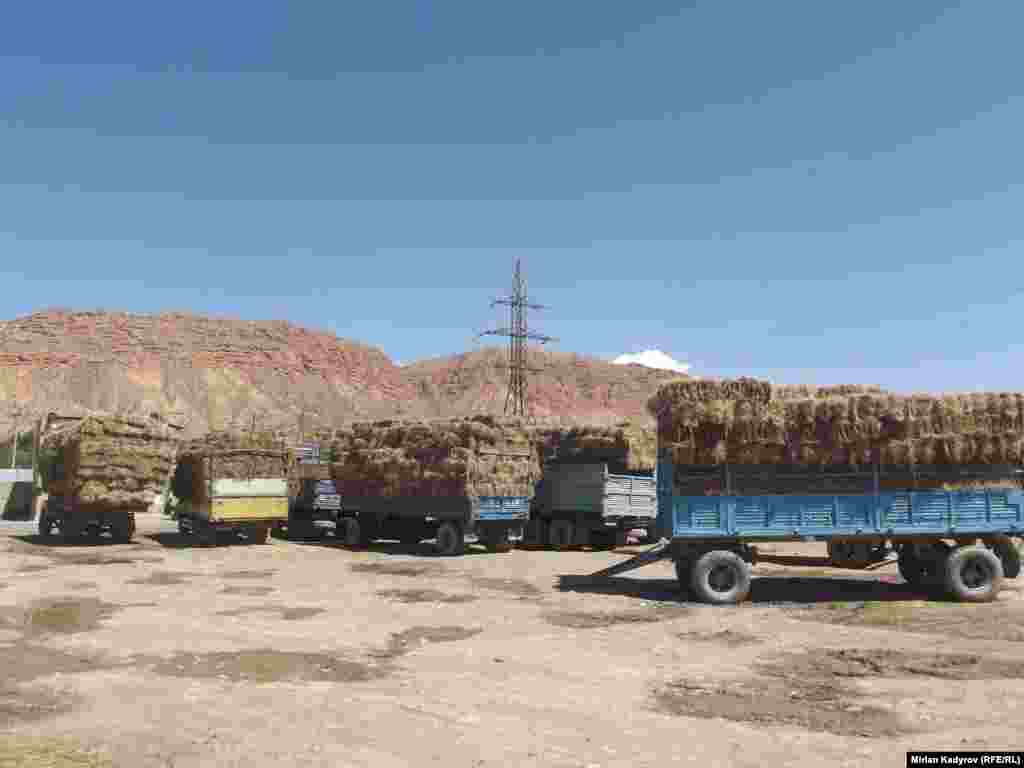 Чөп базарда бир күндө 100-200 боо чөп сатылат. Өткөн жылы бир боо чөп 230-250 сом болгон