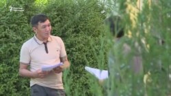 Тар бөлмөдөгү акындын кең ааламы