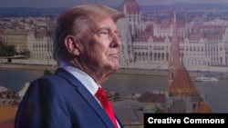 Дональд Трамп, коллаж 