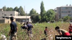 Uzbekistan - Child labor, picking cotton, 03Oct2009