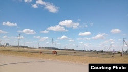 Отвалы и фабрика (слева)вблизи домов в поселке Бестобе  Акмолинской области