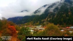 عکس آرشیف : بخشی از جنگلات ولایت نورستان 