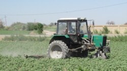 Çeşme: Darganatanyň "Obahyzmat" edarasynda dizel ogurlygynyň üsti açyldy