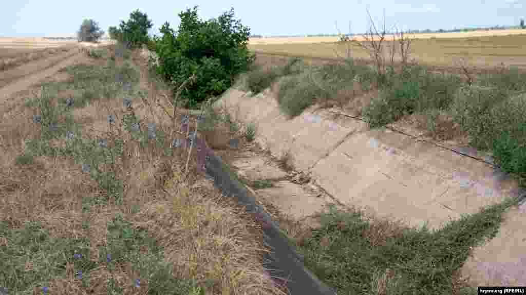 Село Ботанічне (до 1945 року &ndash;​ Аїп) розкинулося в однойменній балці серед степу на північному заході Криму. До перекриття Північно-Кримського каналу в 2014 році, балка служила скидним колектором, яким надлишок дніпровської води з каналу відводився в Каркінітську затоку Чорного моря