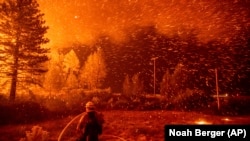 Кількість жертв лісових пожеж може зрости