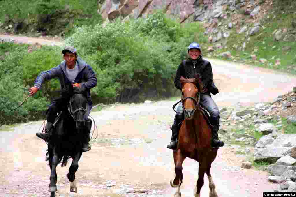 Чабандестер.