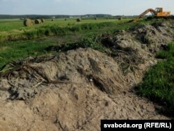 У ваколіцах вёскі Паласьня. Стаўпецка-нясьвіскае Панямоньне, чэрвень 2016.