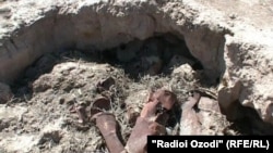 Бозмондаҳои амбори маводи кимиёвӣ