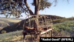 Местным жителям приходится ночевать прямо в огороде или на поле