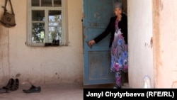 Жайылган айылынан бир көрүнүш.