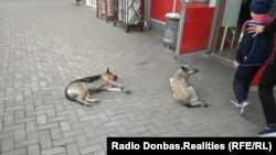 В центре города