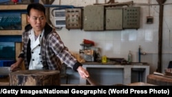 Hytaýyň günortasyndaky Guangdong welaýatynda bir aşpez restoran naharlary üçin pangolini öldürmäge taýýarlanýar. 2019-njy ýylyň 4-nji ýanwary.