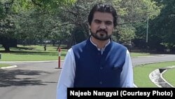 نجیب ننگیال کارشناس امور سیاسی