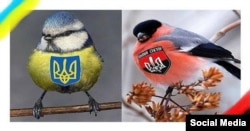 (Ілюстрація, поширена у соцмережах)