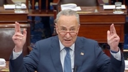 چک شومر، رهبر دموکرات‌ها در سنای امریکا