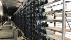 Оборудование для добычи биткоина в Бишкеке.