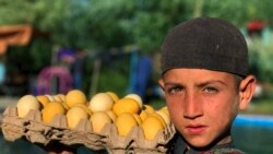 آرشیف، یک کودک افغان