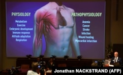 За словами Рендалла Джонсона (праворуч), відкриття науковців можуть допомогти в лікуванні анемії, онкологічних захворювань, інсульту, інфекційних захворювань та серцевих нападів