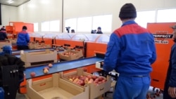 “Агропродукт Азия” соода-логистикалык борбору.