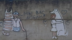 Забор у приюта псковской "Зоозащиты"