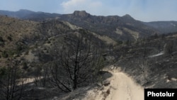 Armenia - Trees in the Khosrov Forest State Reserve burned by a wildfire, 14Aug2017.