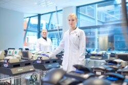 В исландской лаборатории, занимающейся ПЦР-тестированием