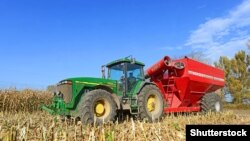 Сбор урожая в Калуше. Украина, август 2014 года. Арихвное фото