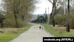 Вёска Дубна. Людзкую вясковую мітусьню ў Дубне замяніў статак коз