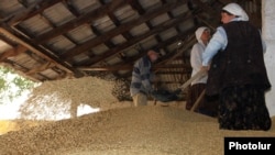 Armenia - Workers at a wheat storage facility in Shirak province.