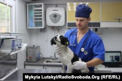 Андрей Пастыка