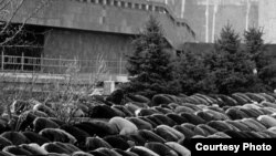 "Коммунизм мунарыгы", Алимжан Жоробаев, Лаура Булиани галереясынан аманат сүрөт