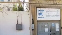 Бакура ООН-ан векалтан гIишло