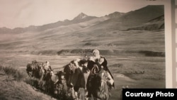 Төлөмүш Океевдин “Бакайдын жайыты” тасмасы