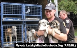 Дмитрий Варваров