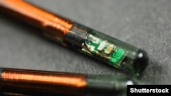 Приклад цифрового імплантату