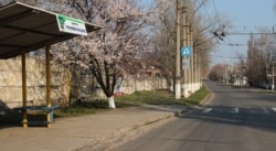 Бахмут без городского транспорта